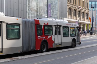 Ottawa, Kanada - 13 Haziran 2025: Şehir merkezinde, Rideau Caddesi 'nde halk otobüsü. OC Aktarım