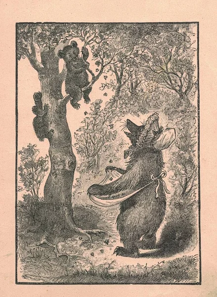 Ilustração Antiga Preto Branco Mostra Uma Mãe Urso Seus Filhotes — Fotografia de Stock