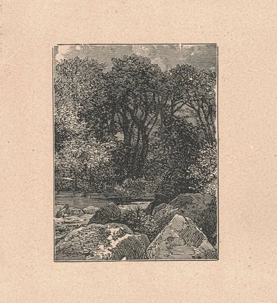 Чорно Біла Антикварна Ілюстрація Показує Сільський Пейзаж Вінтажні Ілюстрації Стара — стокове фото