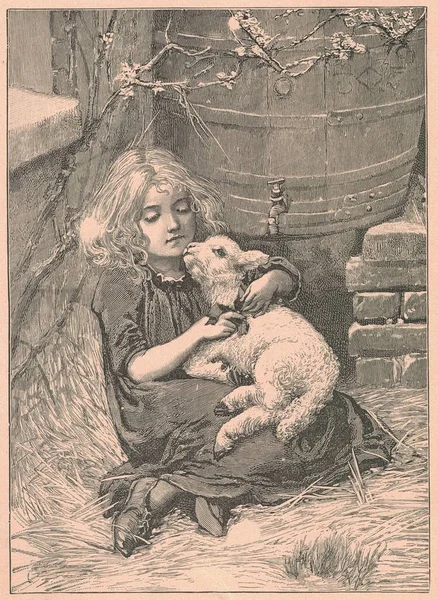白のアンティークイラストは 小さな女の子が小さな子羊のクレードルを示しています ヴィンテージの素晴らしいイラストは 小さな女の子が小さな子羊をクレードル示しています おとぎ話の本から古い素晴らしい画像 1910年に出版されたストーリーブックイラスト おとぎ話 フェアリータ — ストック写真