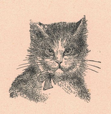 Siyah beyaz antika çizimler bir kedi kafası gösteriyor. Klasik muhteşem illüstrasyon kedi kafasını gösteriyor. Masal kitabındaki eski muhteşem resim. Hikaye kitabı illüstrasyonu 1910 'da yayınlandı. Peri masalı, masal, masal, masal, masal 