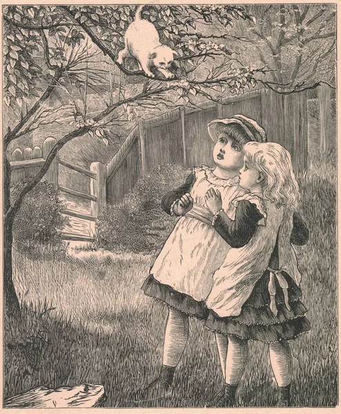 Black and white antique illustration shows two girls and s small kitten on a garden. Vintage marvellous illustration shows the  young girls and the white kitten sitting on the tree. Old fabulous picture from fairytale book. Storybook illustration pub