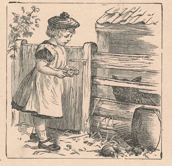 Black and white antique illustration shows a girl feeding a pig. Vintage illustration shows the girl feeding the pig. Old picture from fairy tale book. Storybook illustration published 1910. A fairy tale, fairytale, wonder tale, magic tale, fairy sto
