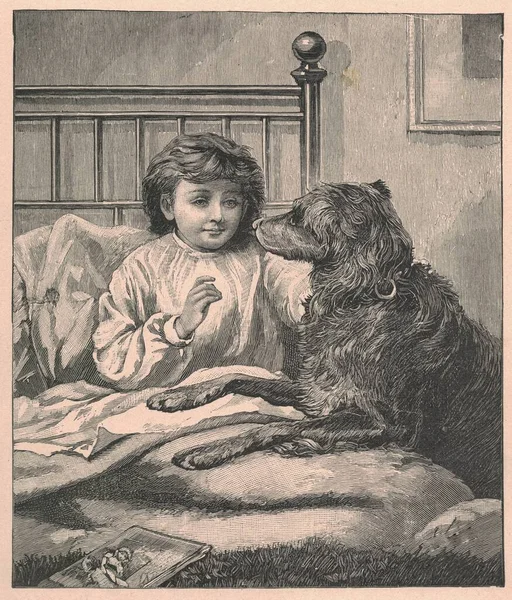 Black and white antique illustration shows a little boy with a dog in the bedroom. Vintage drawing shows the small boy with a dog in the bedroom. Old picture from fairy tale book. Storybook illustration published 1910. A fairy tale, fairytale, wonder