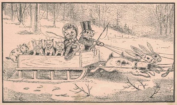 Black and white antique illustration shows a cat family sits on a sleigh that is pulled by the hares. Vintage drawing shows the cat family sits on a sleigh that is drawn by the jackrabbits. Old picture from fairy tale book. Storybook illustration pub