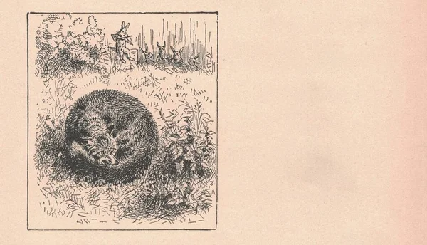 黑色和白色的古画描绘了森林中的一只狐狸 古画显示了森林里的狐狸 童话书里的老照片 1910年出版了故事书插图 童话故事 奇迹故事 魔法故事 童话或三月 — 图库照片