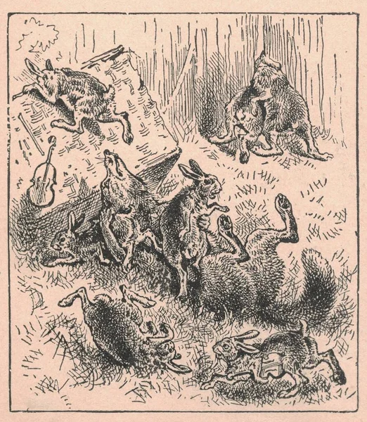 Black and white antique illustration shows a group of hares dances on a meadow. Vintage drawing shows the jackrabbits in the forest. Old picture from fairy tale book. Storybook illustration published 1910. A fairy tale, fairytale, wonder tale, magic