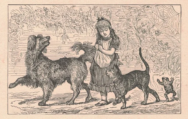 Black and white antique illustration shows a girl goes for a walk with a dog, cat and frog. Vintage drawing shows the girl goes for a walk with animals. Old picture from fairy tale book. Storybook illustration published 1910. A fairy tale, fairytale,