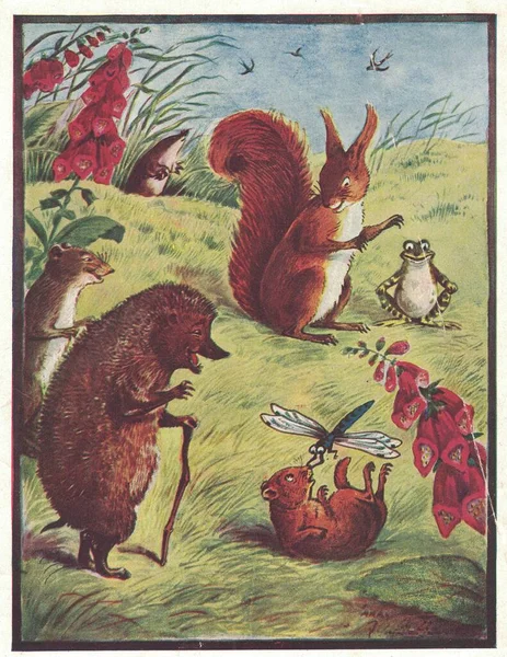 Kolorowa Antyczna Ilustracja Przedstawia Rodzinę Zwierząt Jeża Wiewiórki Żaby Łące — Zdjęcie stockowe