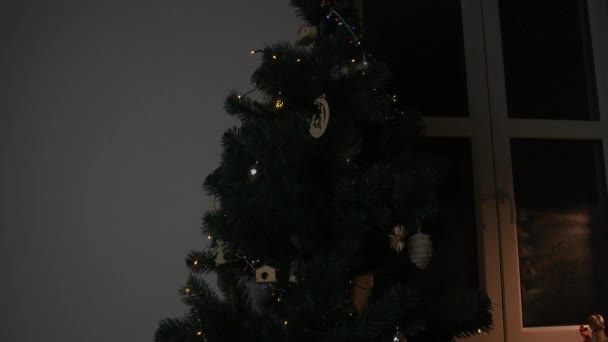 圣诞节的树 圣诞树装饰品的包装 圣诞树上的灯圣诞和新年装饰品 圣诞树 礼物和糖果 窗台上的装饰 — 图库视频影像