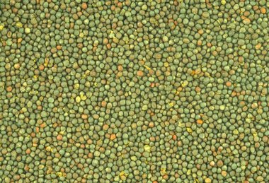 Colza tohumları bitki tohumlarına tecavüz ediyor. - Yakın çekim. Geçmişi. Makro resim arkaplan olarak kullanılabilir. Topraklı colza tohumları topladım..