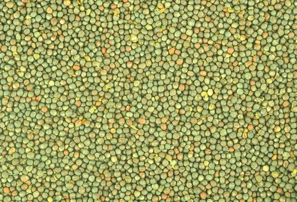 Canola Seeds Rapeseed Texture Close Background Macro Image Rapeseed Can — Stock Photo, Image