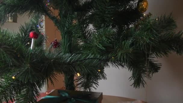 Christbaumhintergrund Und Weihnachtsschmuck Weihnachtsbeleuchtung Hängt Ästen — Stockvideo