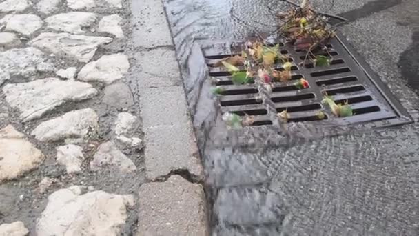 Deszcz Wpada Kanalizacji Woda Wpada Kanalizacji Ulewnym Deszczu — Wideo stockowe