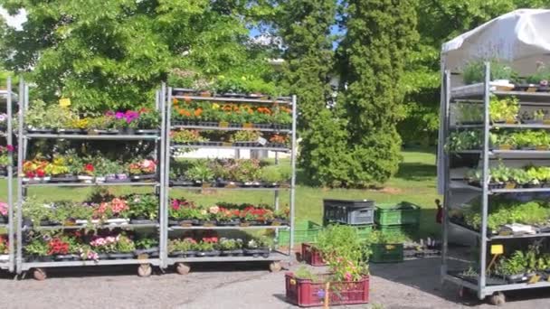 Flower Displays Flower Shop Town Square Display Racks Flowers Plants — Stock Video
