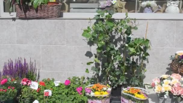Květiny Prodeji Před Květinářstvím Stojany Květiny Chodníku Prodej Rostlin Farmářů — Stock video
