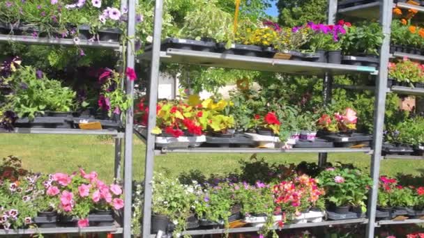 花陈列在外面 市中心广场上的花店 用鲜花和植物展示架子 室外满满一架子的植物和花卉 — 图库视频影像