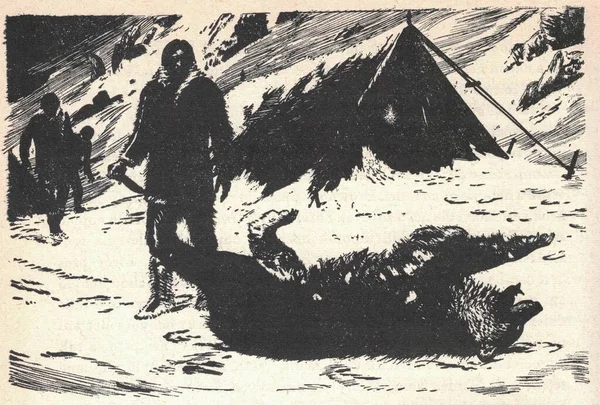 A hunter caught a grizzly bear. Old black and white illustration. Vintage drawing. Illustration by Zdenek Burian. Zdenek Michael Frantisek Burian (11 February 1905 in Koprivnice, Moravia, Austria-Hungary 1 July 1981 in Prague, Czechoslovakia) was a C