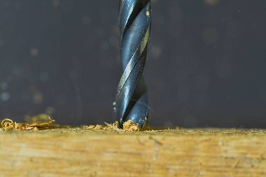 Tahtada dönen matkap. Uçan odun parçalarıyla matkap. Marangozluk, el işi, DIY. Makro ve yakın plan görüntü.