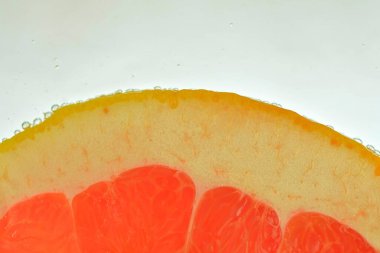 Close-up of fresh grapefruit slice on white background. Slice of red grapefruit in sparkling water on white background, close-up. Horizontal image.