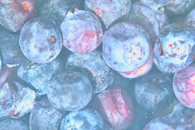 Blueberries, background of berries, top view. Blueberry background. Texture of bilberries, flat design. Horizonatal macro image.