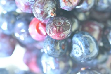 Blueberries, background of berries, top view. Defocused blueberry background. Texture of bilberries, flat design. Horizontal macro image.
