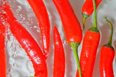 Red peppers in water on white background. Red chilli peppers close-up in liquid with bubbles. Red cilli peppers in water. Macro image of vegetable in water.