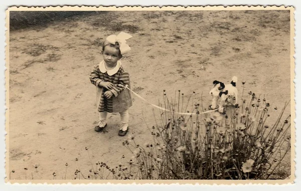 Hodonin República Czechoslovak Circa 1942 Uma Menina Pequena Com Cachorro — Fotografia de Stock