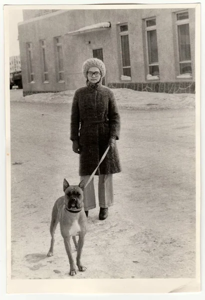 Sscb 1970 Yıllarda Yaklaşık Vintage Fotoğraf Gösterir Kadın Köpek Yürüyor — Stok fotoğraf
