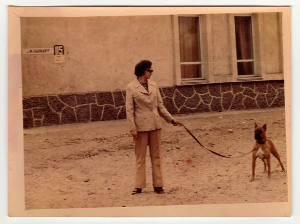 Ссср Circa 1970 Винтажные Фото Показывают Женщина Выгуливает Собаку — стоковое фото