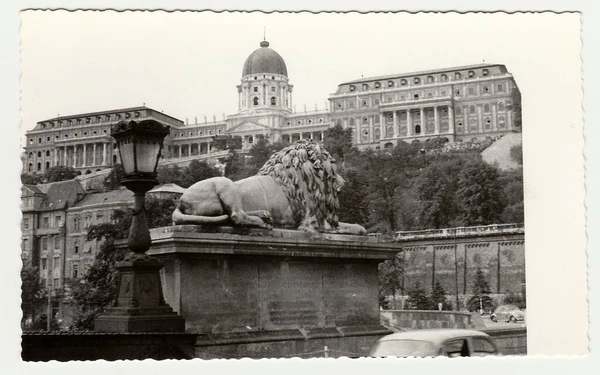 Budapest Hungria 1966 Fotos Vintage Mostram Palácio Real Budapeste Castelo — Fotografia de Stock
