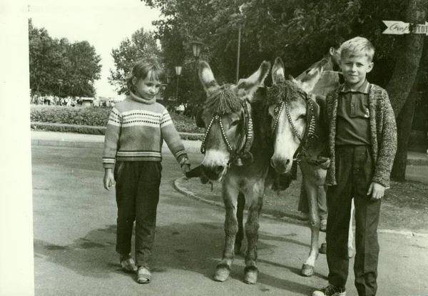 ソビエト連邦 Circa 1970 レトロ写真は公園にロバを持つ子供たちを示しています ヴィンテージ黒と白の写真 — ストック写真