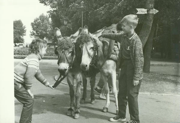 Szovjetunió Circa 1970 Évek Retro Fotó Mutatja Gyerekek Szamarak Parkban — Stock Fotó