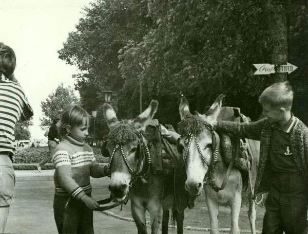 Urss Circa 1970 Foto Retro Muestra Niños Con Burros Parque — Foto de Stock