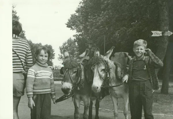 Ussr Circa 1970S Retro Photo Shows Children Donkeys Park Vintage — Stock Photo, Image