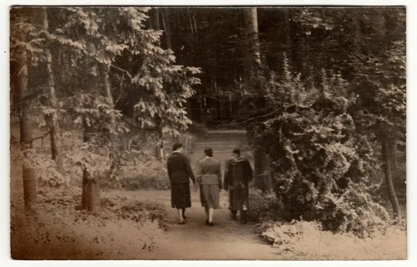 1930年代的Czechoslovak Circa 古色古香的照片显示人们在森林里散步 复古黑白摄影 — 图库照片
