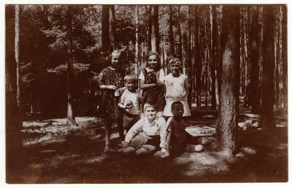 1925年7月 Czechoslovak 古老的照片展示了森林中的儿童 复古黑白摄影 — 图库照片