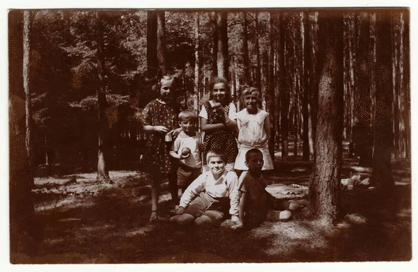 チェコ 1925年7月 ヴィンテージ写真は森の中の子供たちを示しています レトロ黒と白の写真 — ストック写真