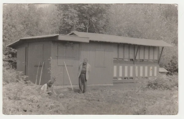 チェコ社会主義共和国 Circa 1970 ヴィンテージ写真は庭小屋と蜂の家を示しています レトロな黒と白の写真 1970年代 — ストック写真
