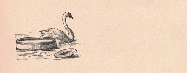 Ilustração Antiga Preto Branco Mostra Cisne Flutuando Rio Ilustração Vintage — Fotografia de Stock