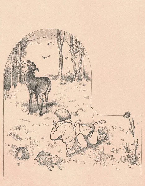 黒と白のアンティークのイラストは 小さな女の子が牧草地で鹿を見て示しています ヴィンテージの絵は 牧草地で行われた鹿を見ている小さな女の子を示しています おとぎ話の本から古い写真 1910年に出版されたストーリーブックイラスト おとぎ話だ — ストック写真