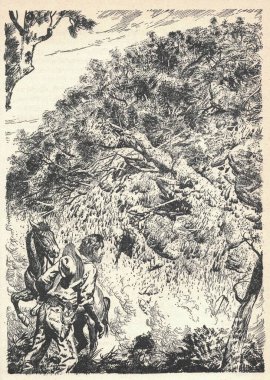 Vahşi batıda bir kovboy. Uçurumun kenarında bir kovboy. Eski siyah beyaz çizim. Klasik çizim. Görüntü: Zdenek Burian. Zdenek Michael Frantisek Burian 11 Şubat 1905