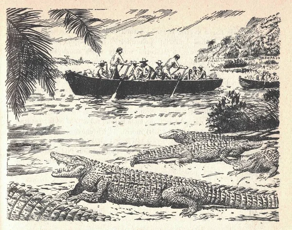 Łódź Płynie Rzece Krokodyle Wybrzeżu Czarno Biała Ilustracja Zabytkowy Rysunek — Zdjęcie stockowe