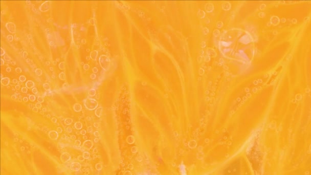Μακρό Πλάνο Μιας Φέτας Πορτοκαλιού Ανθρακούχο Νερό Κοντινό Πλάνο Φέτας — Αρχείο Βίντεο