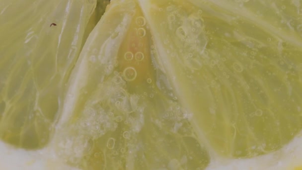 輝く水の中でレモンスライスのマクロショット 炭酸水中のシトロンスライスの閉鎖 — ストック動画