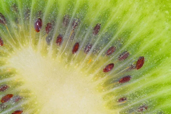 stock image Slice of ripe kiwi fruit in water. Close-up of kiwi fruit in liquid with bubbles. Slice of ripe kiwi in sparkling water. Macro image of fruit in carbonated water