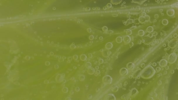 Шматочок Стиглого Лайма Водяних Бульбашках Макро Постріл Вапняного Шматочка Ігристій — стокове відео
