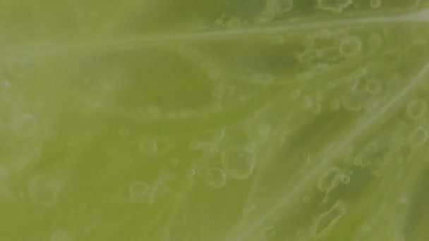 Макро Постріл Вапняного Шматочка Ігристій Воді Крупним Планом Зріз Лайма — стокове відео