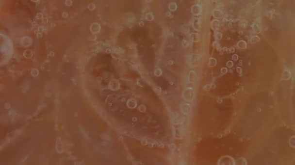 Makro Záběr Grapefruitového Plátku Šumivé Vodě Detailní Záběr Grapefruitového Plátku — Stock video