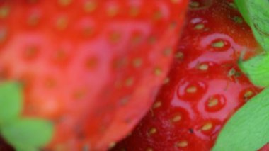 Dönen levhada kırmızı çilekler. Kırmızı, sulu, olgun çilekler. Lezzetli yaz meyveleri. Kamera nazikçe dönüyor. Taze çileklerin arkaplanı. Sağlıklı doğal gıda konsepti
